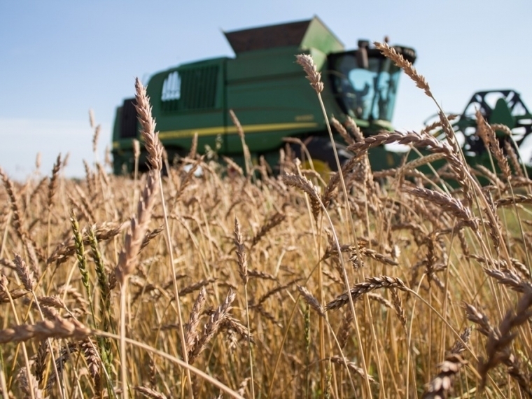 Омские аграрии опережают другие регионы по страхованию посевных площадей #Экономика #Омск