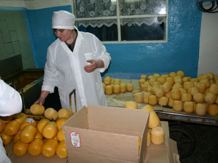 Росссельхознадзор: 78% сыра в РФ является фальсификатом