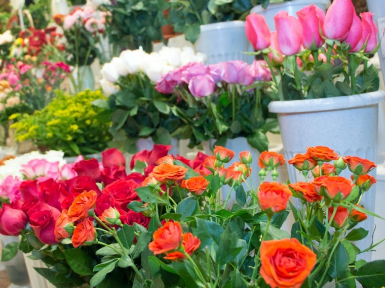 Цветы в Омске к праздникам могут подорожать на 20 процентов #Экономика #Омск