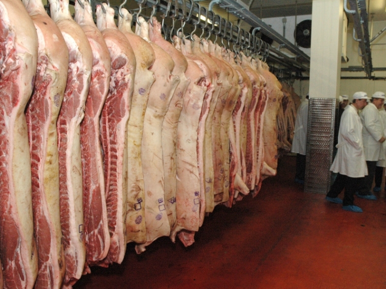 В Омской области почти на 4 тысячи тонн выросло производство свинины #Экономика #Омск