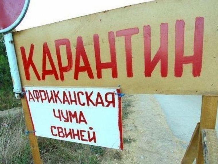 Карантин по АЧС снят со второго села Омской области #Экономика #Омск
