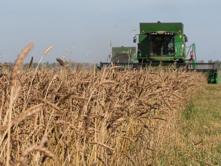 Объединенная зерновая компания поможет омским аграриям выйти на рынки Азиатско-Тихоокеанского региона #Экономика #Омск