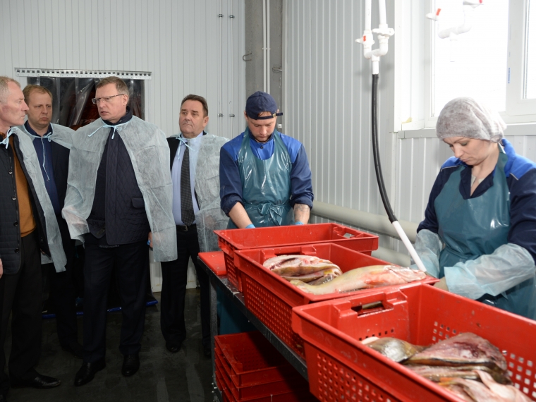 В Крутинке главе региона показали «самую чистую рыбу» от Урала до Дальнего Востока #Экономика #Омск