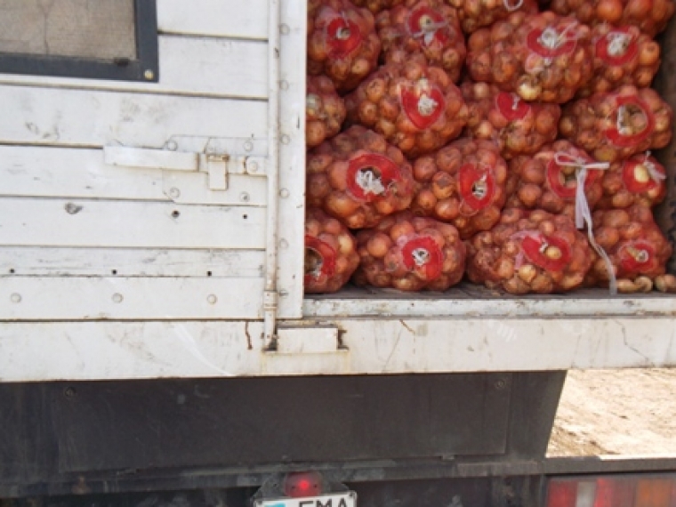 На границе с Казахстаном задержали более 90 тонн овощей и фруктов #Экономика #Омск