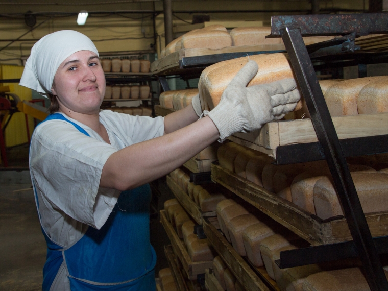 Дефицита хлеба омичи могут не опасаться — минсельхоз #Экономика #Омск