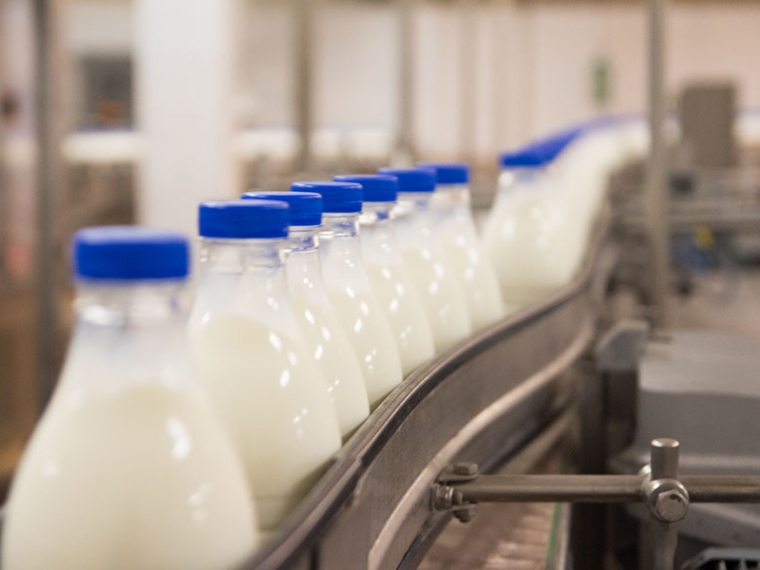 За последние полгода в Омской области стали производить больше молока #Экономика #Омск