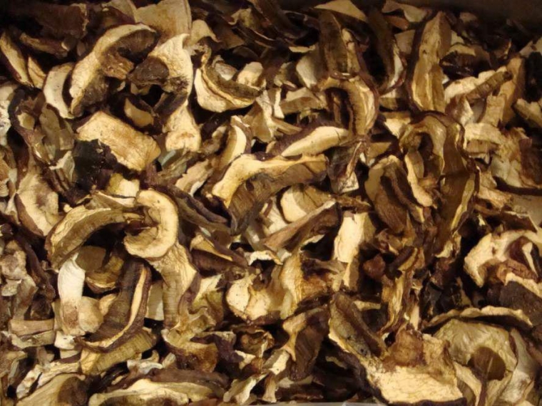Сушеные грибы из Омска заинтересовали итальянцев #Экономика #Омск