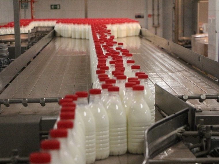 В Омской области увеличилось производство молока #Экономика #Омск