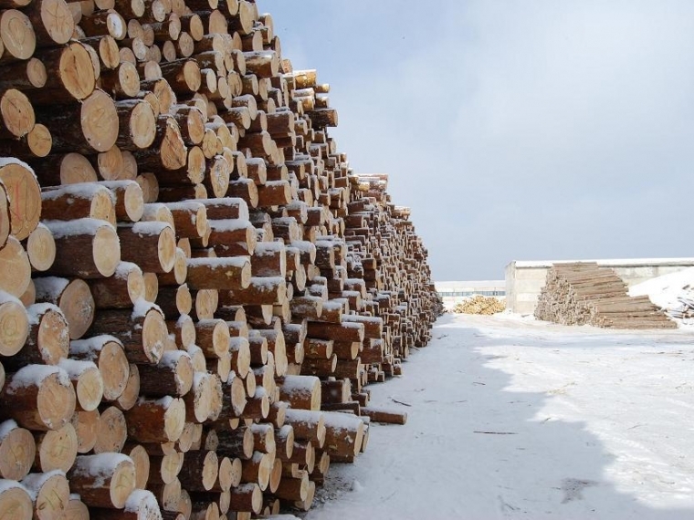 В Омской области заработает завод по производству древесного угля, мебели и палочек для мороженого #Экономика #Омск