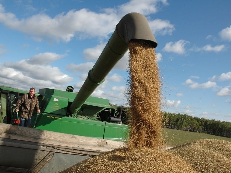 Из Омской области пытались незаконно вывезти более 450 тонн зерна #Экономика #Омск