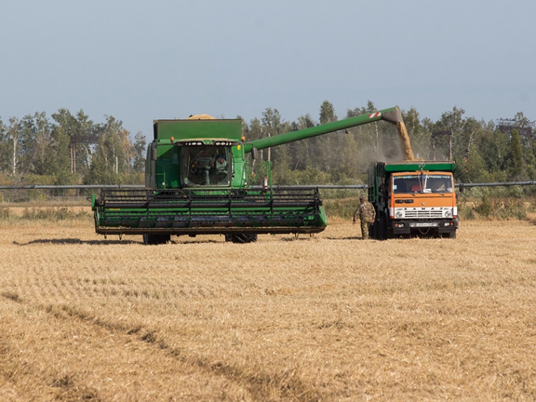 За три дня омские аграрии соберут с полей оставшееся зерно — региональный минсельхоз #Экономика #Омск