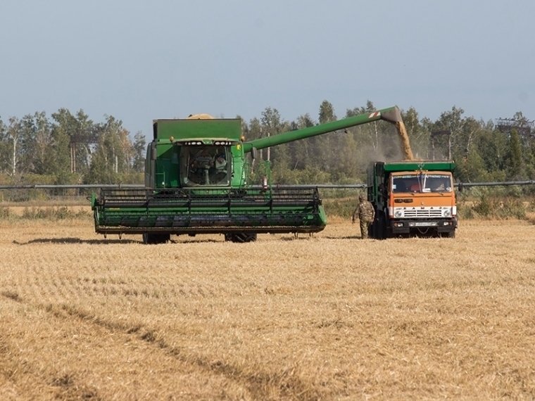 Омским аграриям увеличили субсидии на модернизацию сельхозпроизводства #Экономика #Омск