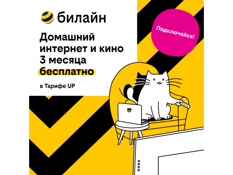 Базя, Пинг и Пуш сделают первые 3 месяца домашнего интернета с кинотеатром и цифровым ТВ бесплатными #Экономика #Омск