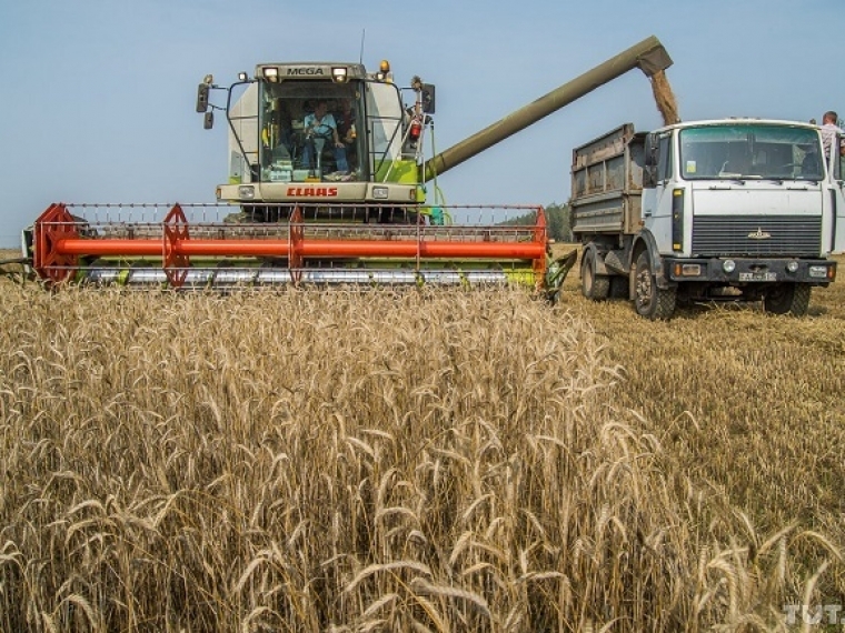 Омские хлеборобы намолотили 1,9 миллионов тонн зерна — Виталий Хоценко #Экономика #Омск