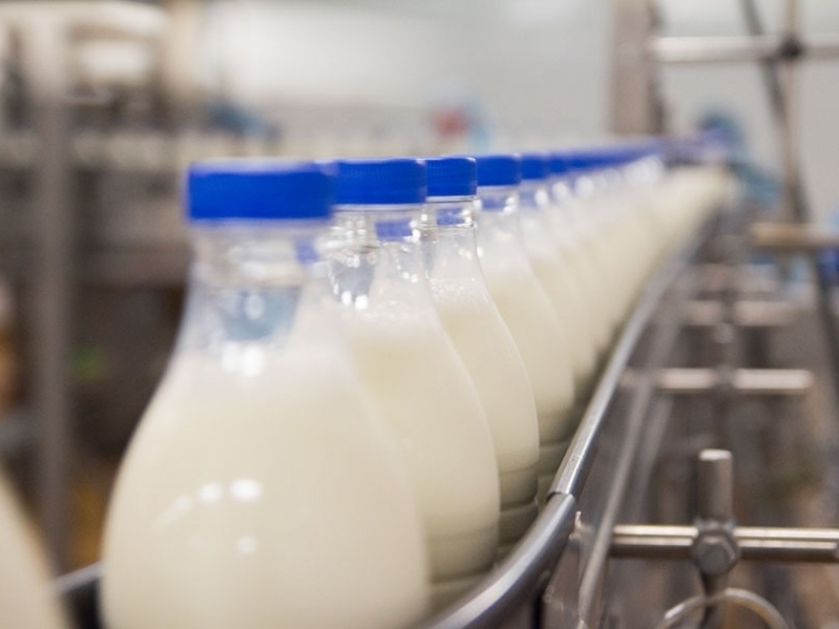 Омичка хотела продать 13 тонн неизвестного молока, сыра и масла #Экономика #Омск