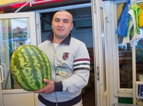 В Омск не пустили 20 тонн арбузов из Казахстана #Экономика #Омск