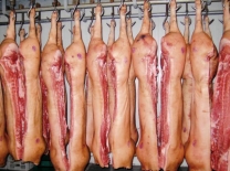 В Омской области почти на 4 тысячи тонн выросло производство свинины #Экономика #Омск