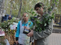 Омский Россельхознадзор собрал урожай сомнительных саженцев и семян #Экономика #Омск