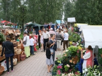 Омская сеялка завоевала золотую медаль на Дне поля в Татарстане #Экономика #Омск
