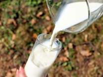 В Омской области увеличилось производство молока #Экономика #Омск