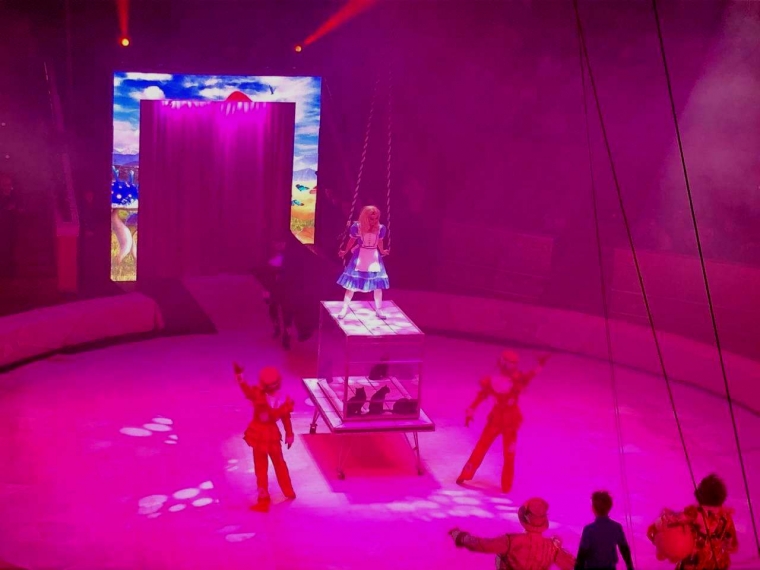 В Омском цирке перед Новым годом собрали «Золотые сказки мира» #Культура #Омск
