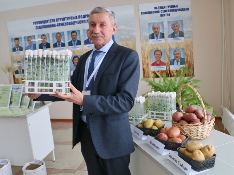 Омские аграрии полностью обеспечены местными семенами зерновых культур #Экономика #Омск