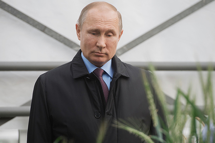 Путин нашел связь между разведкой и хлебом #Россия #Новости #Сегодня