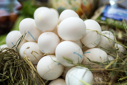 Яйца оказались средством от преждевременной смерти #Наука #Техника #Новости