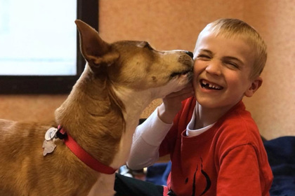Шестилетний мальчик спас от смерти более тысячи собак #Жизнь #Новости #Сегодня