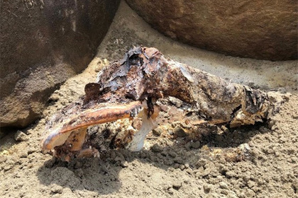 В зоне затопления Саяно-Шушенской ГЭС обнаружили древнюю мумию #Наука #Техника #Новости