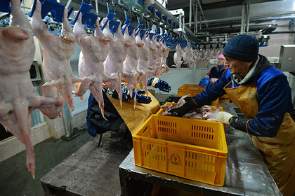 Казахстан запретил ввоз российской курицы #Финансы #Новости #Сегодня