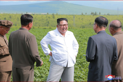 Ким Чен Ын вместо встречи с госсекретарем США поехал на картофельную ферму #Мир #Новости #Сегодня