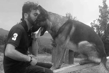 Прославленного итальянского пса-спасателя убили #Жизнь #Новости #Сегодня