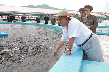 Ким Чен Ын посмотрел на рыбу #Мир #Новости #Сегодня