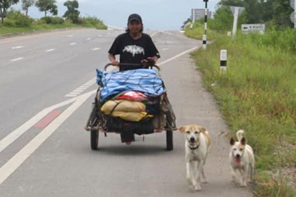 Убитый горем таец прошел 1500 километров ради прощания с любимой #Жизнь #Новости #Сегодня