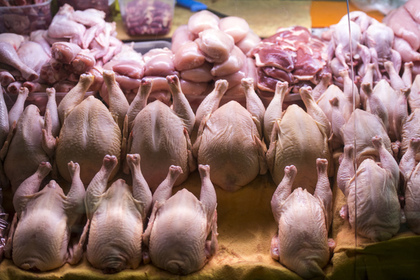 Выпуск куриного мяса «Петелинки» потребовали остановить из-за бактерий #Финансы #Новости #Сегодня