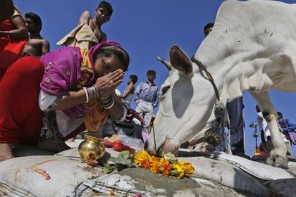 Убийство коров привело к смертельному погрому #Мир #Новости #Сегодня