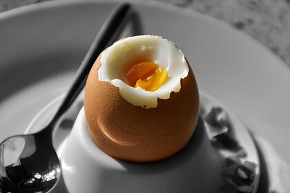Назван способ идеальной варки куриных яиц: Еда: Из жизни: Lenta.ru #Жизнь #Новости #Сегодня