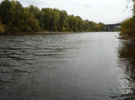 Устье реки Омь (Омск) 