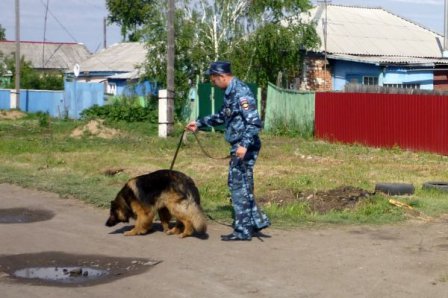 В Омске найдены тела детей, которые пропали без вести.