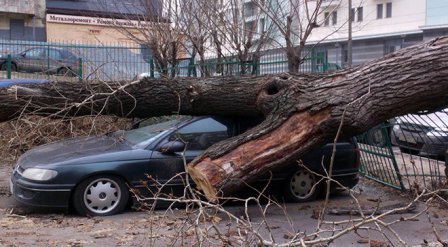 В Омске обошлось без ураганов.