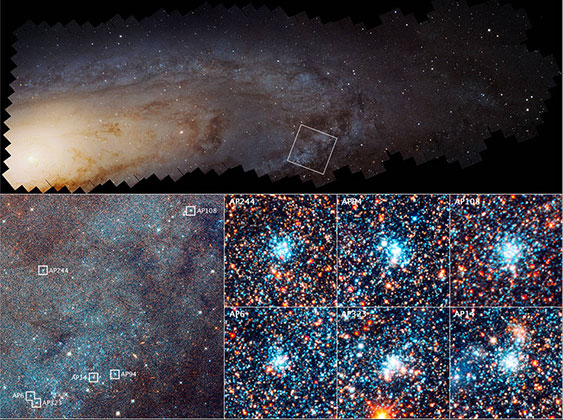 НАСА и 30 тысяч астрономов-любителей подсчитали число молодых звезд в Галактике