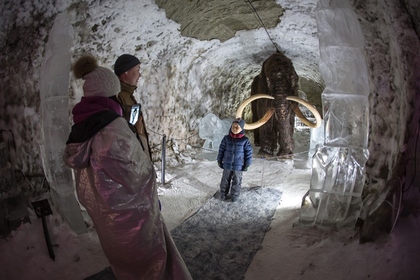 В Якутии нашли кости мамонта возрастом в полмиллиона лет