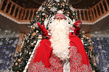 В Южно-Сахалинске отказались от покупки резиденции Деда Мороза