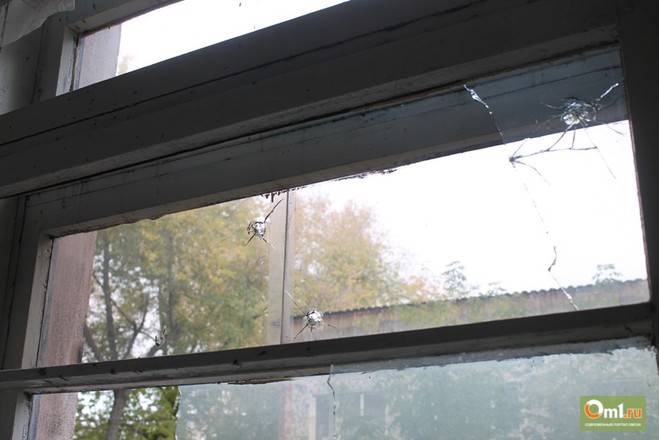 Очевидцы стрельбы на Ипподромной в Омске: «Сосед начал стрелять сквозь входную дверь»
