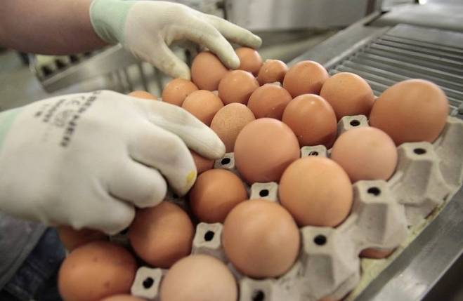 Бизнесвумен получила срок за поставку в омский детский сад протухших яиц