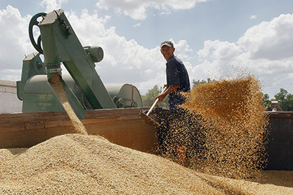 Ткачев пообещал экспортировать 40 миллионов тонн зерна к 2025 году