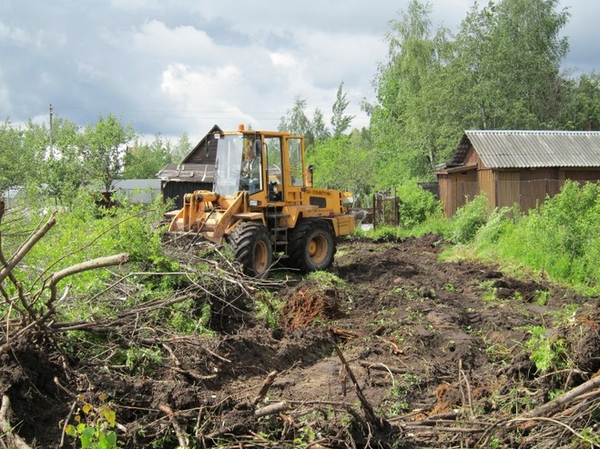 Чтобы расширить дорогу, житель Омской области срубил 55 деревьев