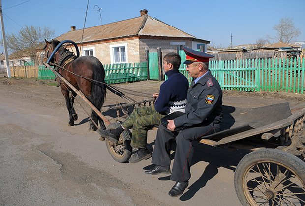 Правительство России отрегулирует крестьянскую лошадку: Общество: Россия: