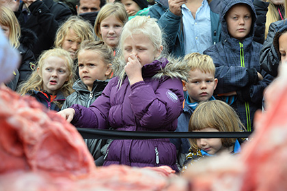 В датском зоопарке школьникам показали вскрытие льва